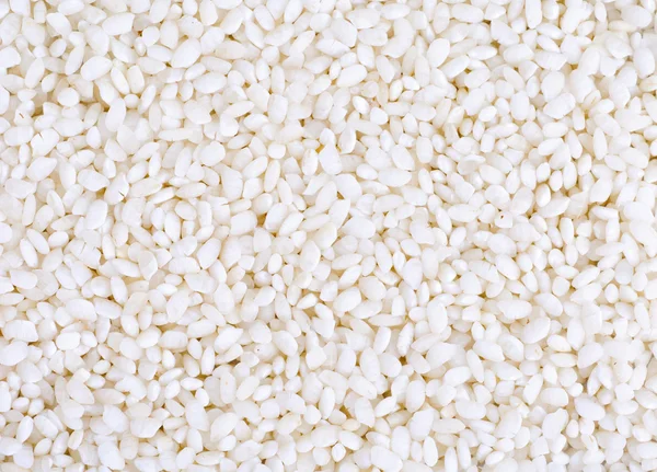 Κοντινό πλάνο των τροφίμων σιτηρών άσπρο ρύζι — Φωτογραφία Αρχείου