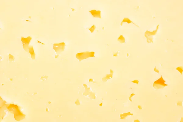 Background of fresh yellow cheese with holes Stock Photo