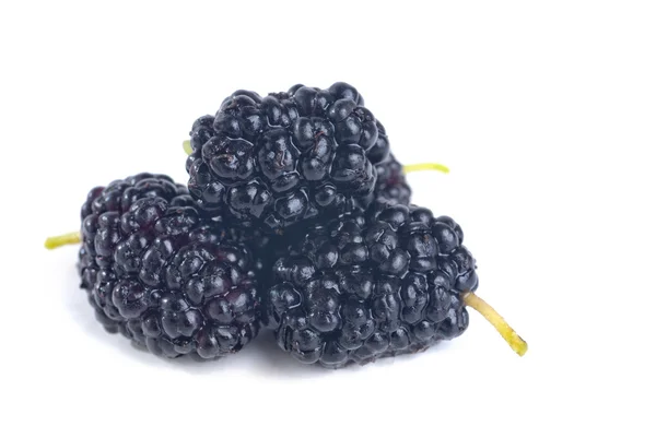 Mulberry in studio shot on white background . — Stock Photo, Image