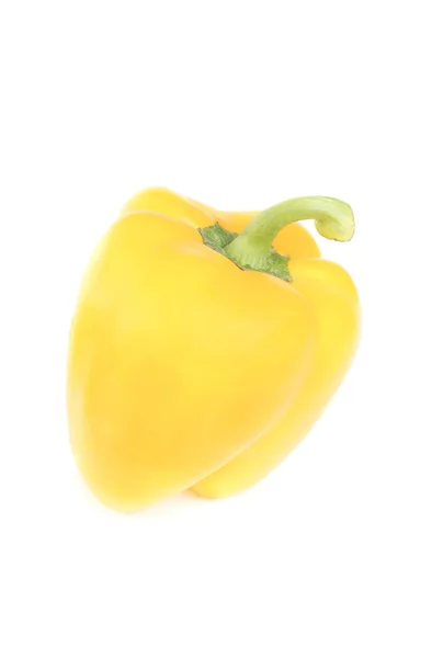하얀 배경에 분리 된 노란 후추 — 스톡 사진