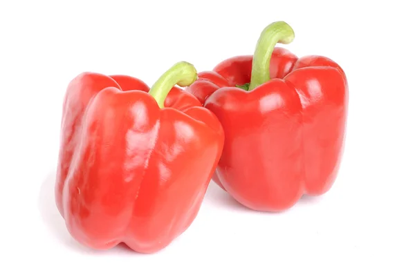 Δύο κόκκινη πιπεριά απομονωμένη σε λευκό φόντο — Φωτογραφία Αρχείου