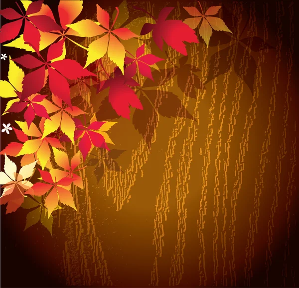 Autumn Seasonal Background — Stock Vector