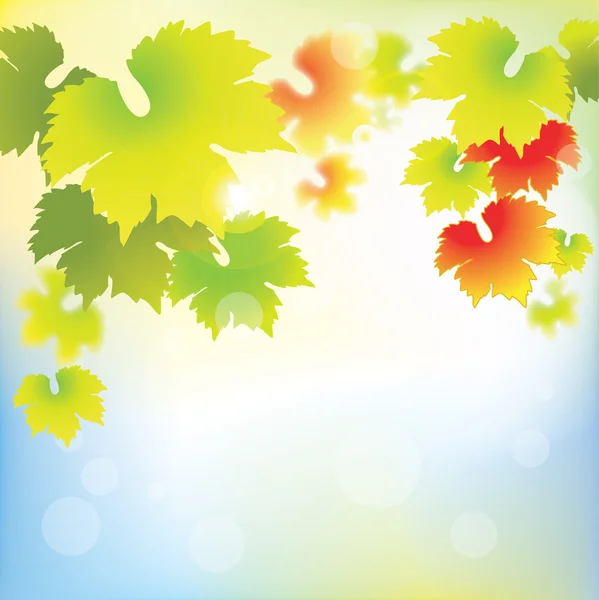 Абстрактне листя винограду на фоні боке — стоковий вектор