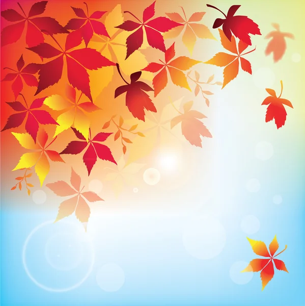 Autumn Seasonal Background — Stock Vector