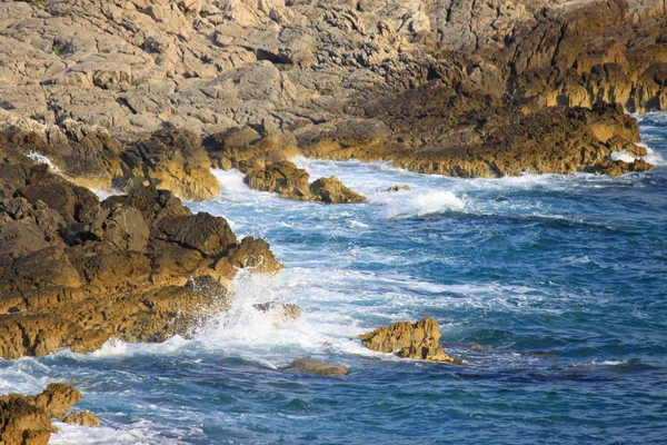 stock image Sea Shore