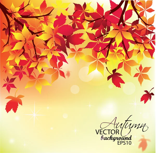 Autumn Leaves Falling — Stock Vector