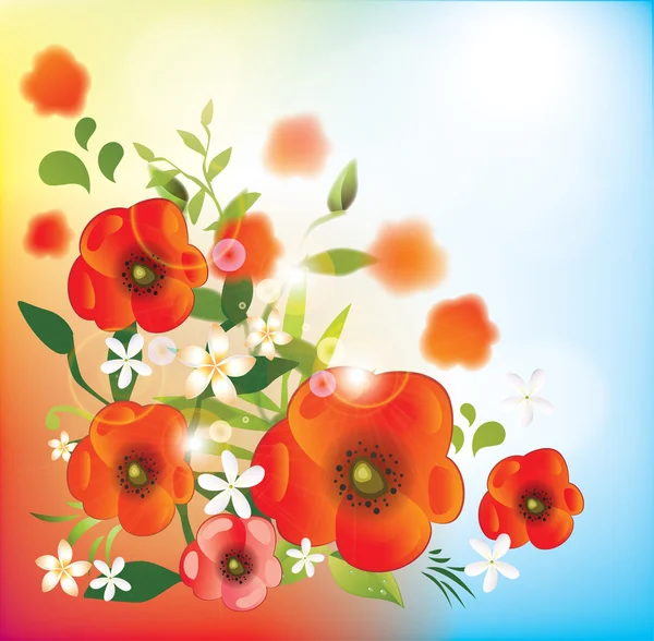 Campo de flores de amapola — Vector de stock