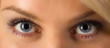 Woman's eyes clipart