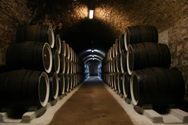 Grote wijnkelder — Stockfoto