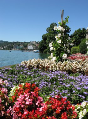 tropikal Bahçe Lugano. İsviçre.