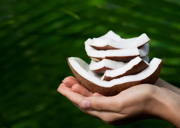 Hand som håller kokos — Stockfoto