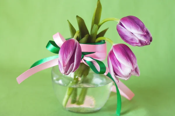 Нежный букет фиолетовых тюльпанов — стоковое фото