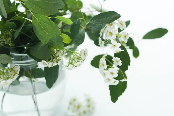 Um buquê de flores brancas em um vaso de vidro — Fotografia de Stock