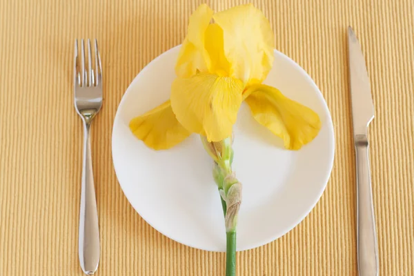 Fourchette, couteau, iris jaune et plaque blanche — Photo