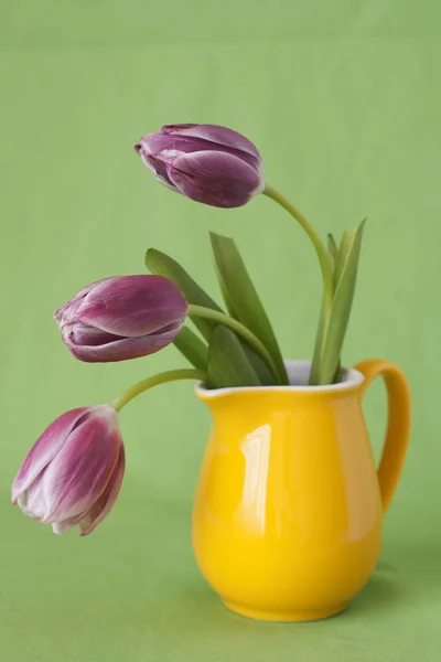 Delikatny bukiet tulipanów fioletowy żółty dzban — Zdjęcie stockowe