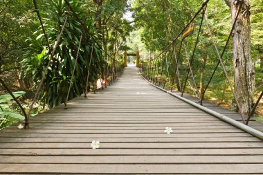 Rope walkway through the treetops clipart