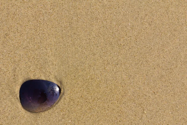 stock image Sun glass items on beach