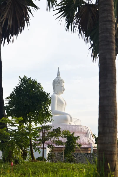 Vit buddha staty — Stockfoto