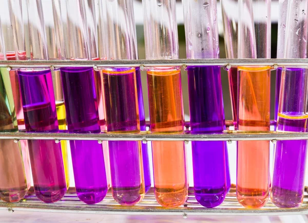 Test tubes sit in rack — Stock Photo, Image