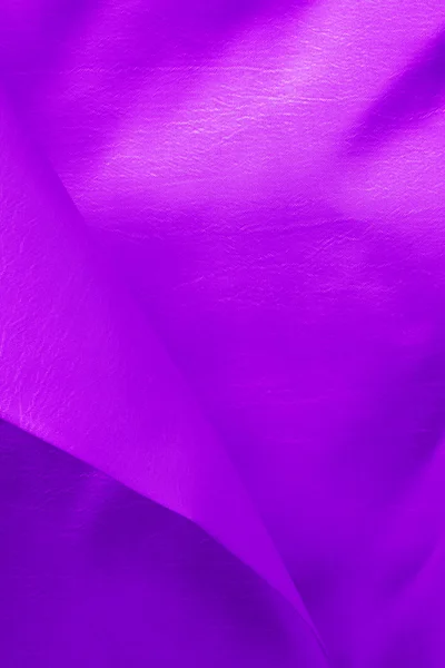 stock image Beautiful trendy violet