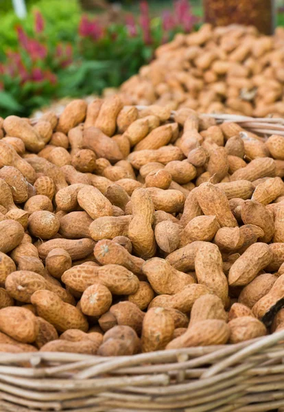 Erdnüsse im Korb — Stockfoto