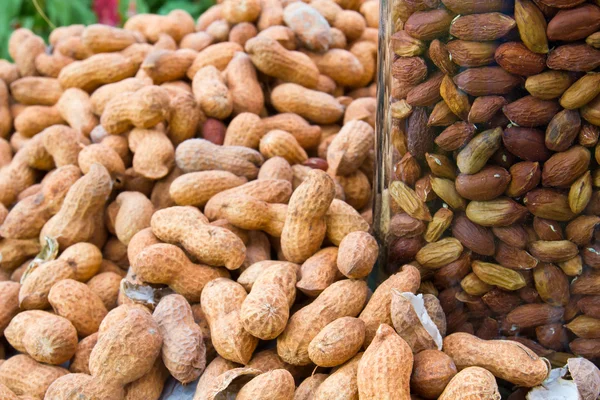 stock image Peanuts in Glass jars