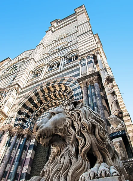 Sten lejon står vakt vid domkyrkan st. lorenzo — Stockfoto