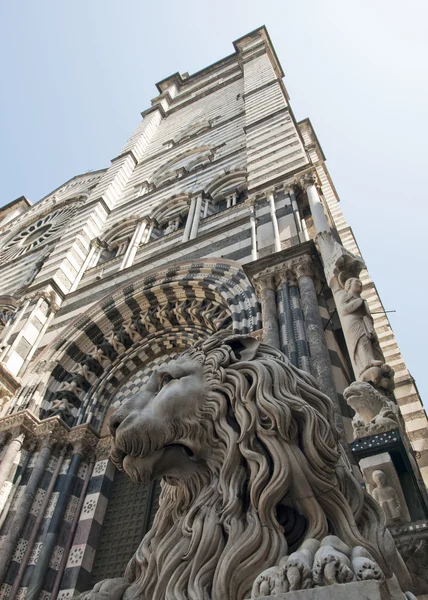 Kamenného lva stojí stráž v katedrále st. lorenzo — Stock fotografie