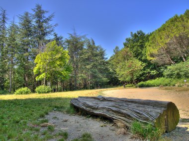 gövde Park