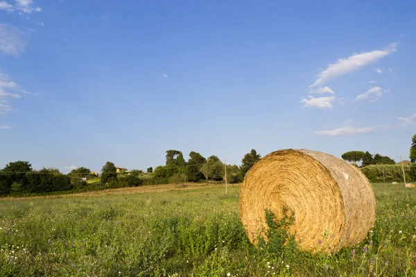 干し草の俵 — ストック写真