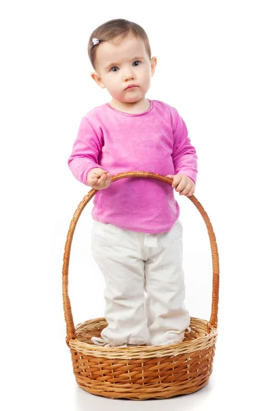 Small in the basket — Stock Photo, Image