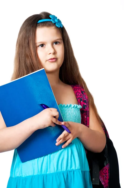 Dziewczyna z notebookami — Zdjęcie stockowe