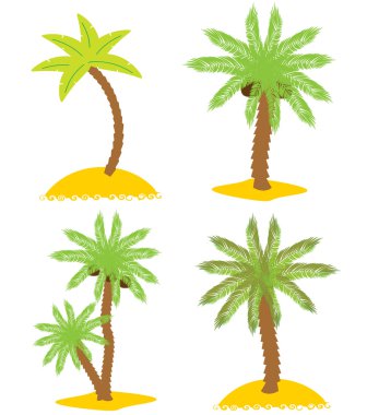 çeşitli palmiye ağaçları kümesi. izole nesneleri. vektör