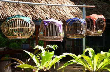 Vogelkäfige in Khao Lak (Thailand) clipart