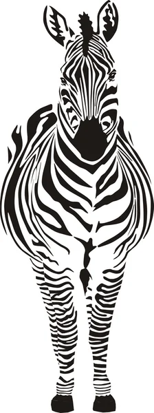 Zebra - preto e zero —  Vetores de Stock