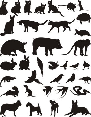 Animal pet clipart