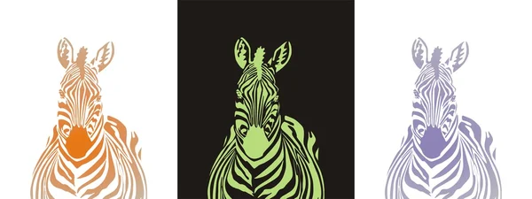Fabelagtig zebra – Stock-vektor