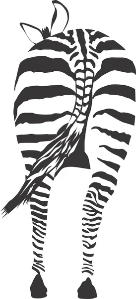 Zebra da dietro — Vettoriale Stock