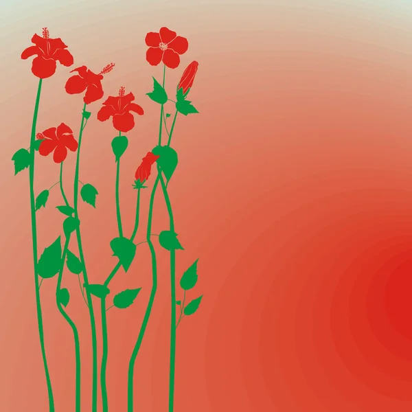 Δημιουργικό σχεδιασμό hibiscus λουλούδια σκηνικό — Διανυσματικό Αρχείο