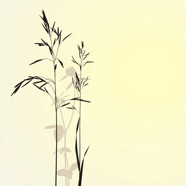 Трава и клевер — стоковый вектор