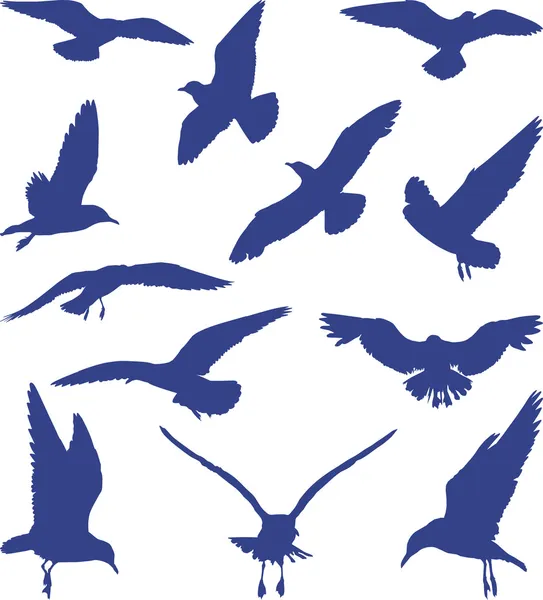 Vögel, Möwen in blauen Silhouetten — Stockvektor