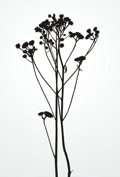 Silhouettenpflanzen — Stockvektor