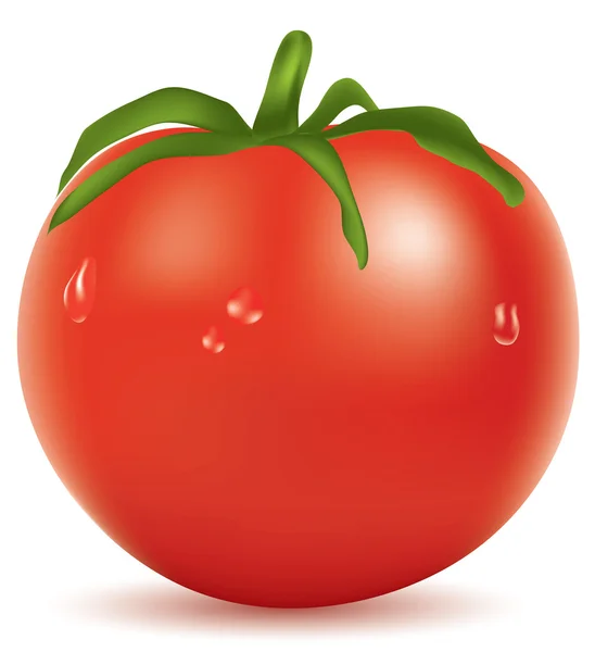 番茄与水滴 — 图库矢量图片