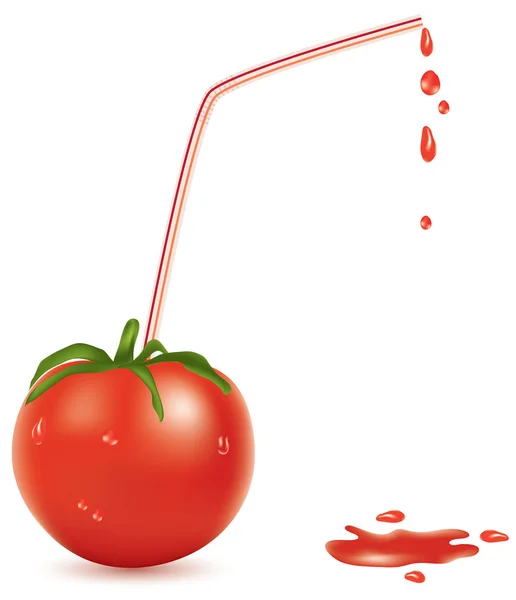 Tomate y paja — Vector de stock