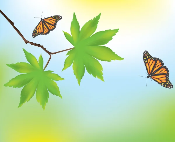 Φύλλα σφενδάμου και πεταλούδες — Διανυσματικό Αρχείο