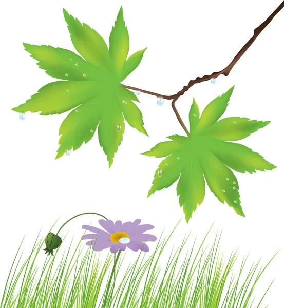 Esdoorn bladeren, gras en een bloem — Stockvector