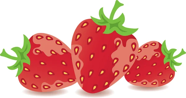 Jordbær – Stock-vektor