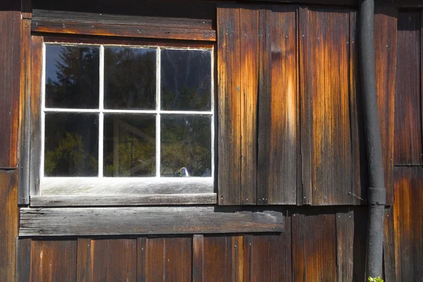 Rustikale Kabinenwand und Fenster — Stockfoto