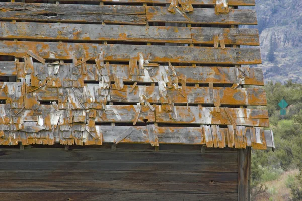 Moldy roof shingles — Stock Photo, Image