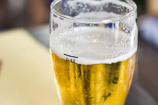 Soğuk bira — Stok fotoğraf